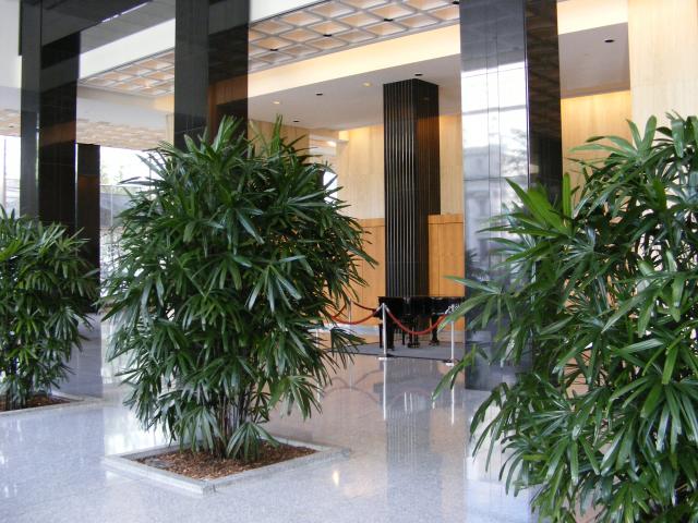 DSCF2492.JPG